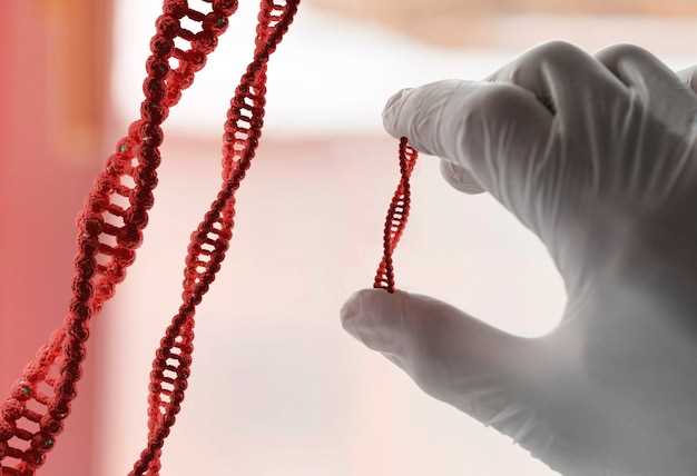 Влияние ДНК микроорганизмов на здоровье женщин: возможные последствия и методы лечения