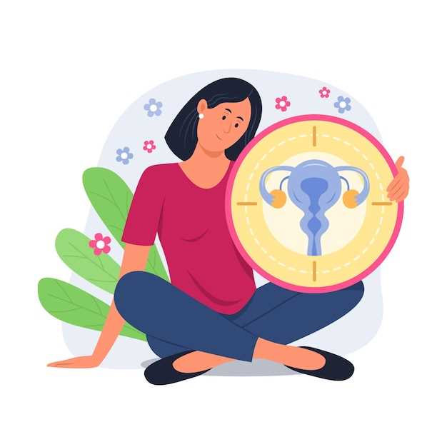 Органы репродуктивной системы у женщин: особенности строения матки