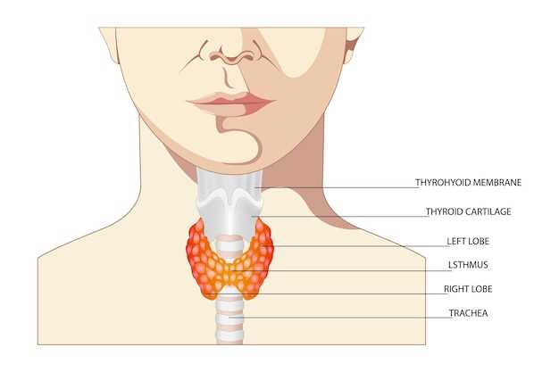 Щитовидные гормоны: почему они важны для организма?